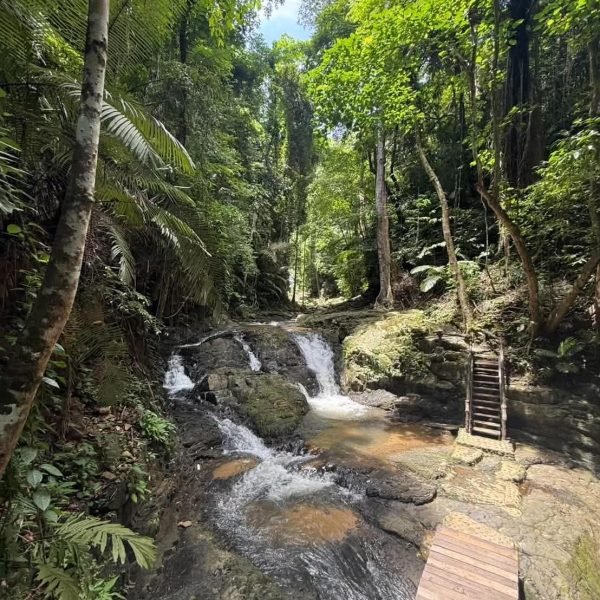 hidden jungle waterfall tour stop krabi 28