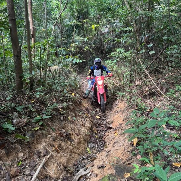 krabi dirt bike tour jungle single track 2
